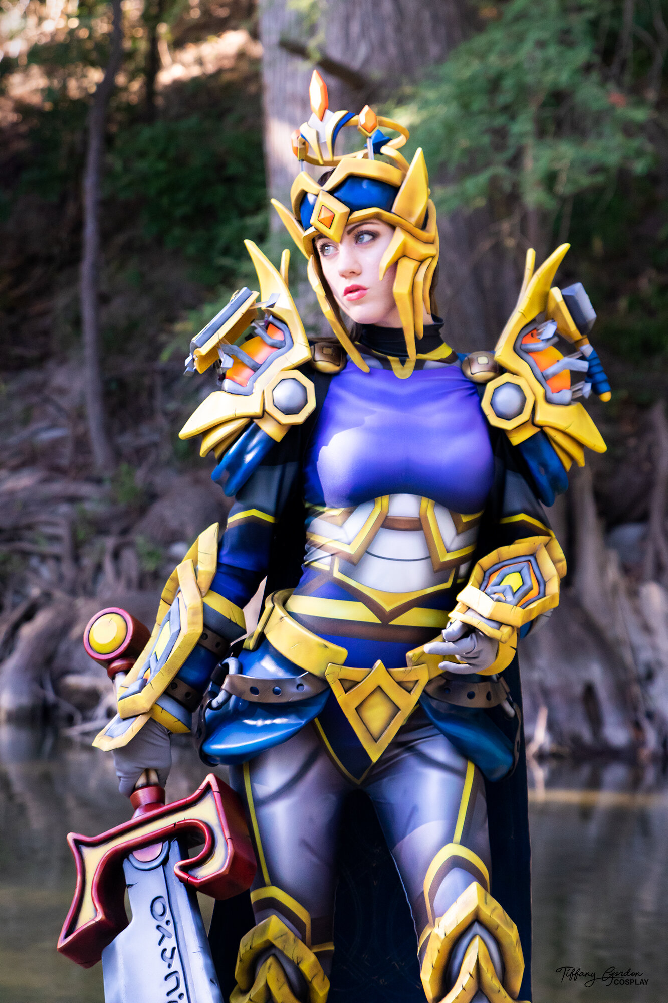 World of Warcraft Radiant Lightbringer Armor Set Print 1